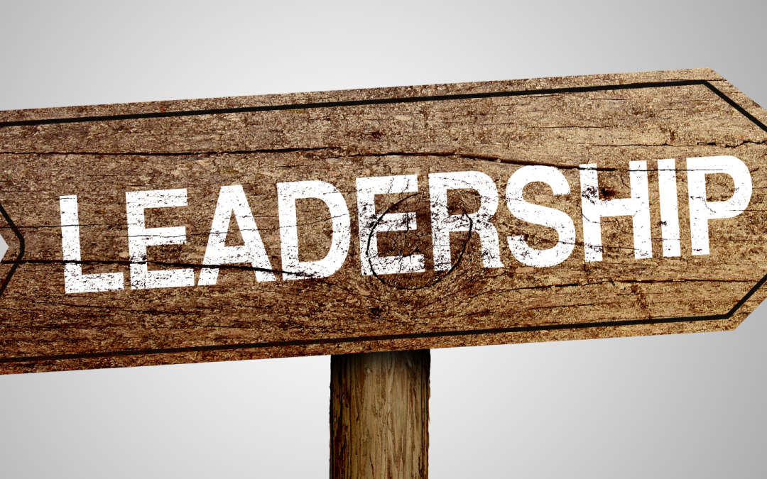 Fostering Leadership Skills in Young Children Through School Activities