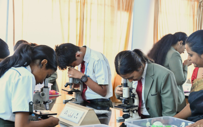 What is Junior College? A Complete Overview